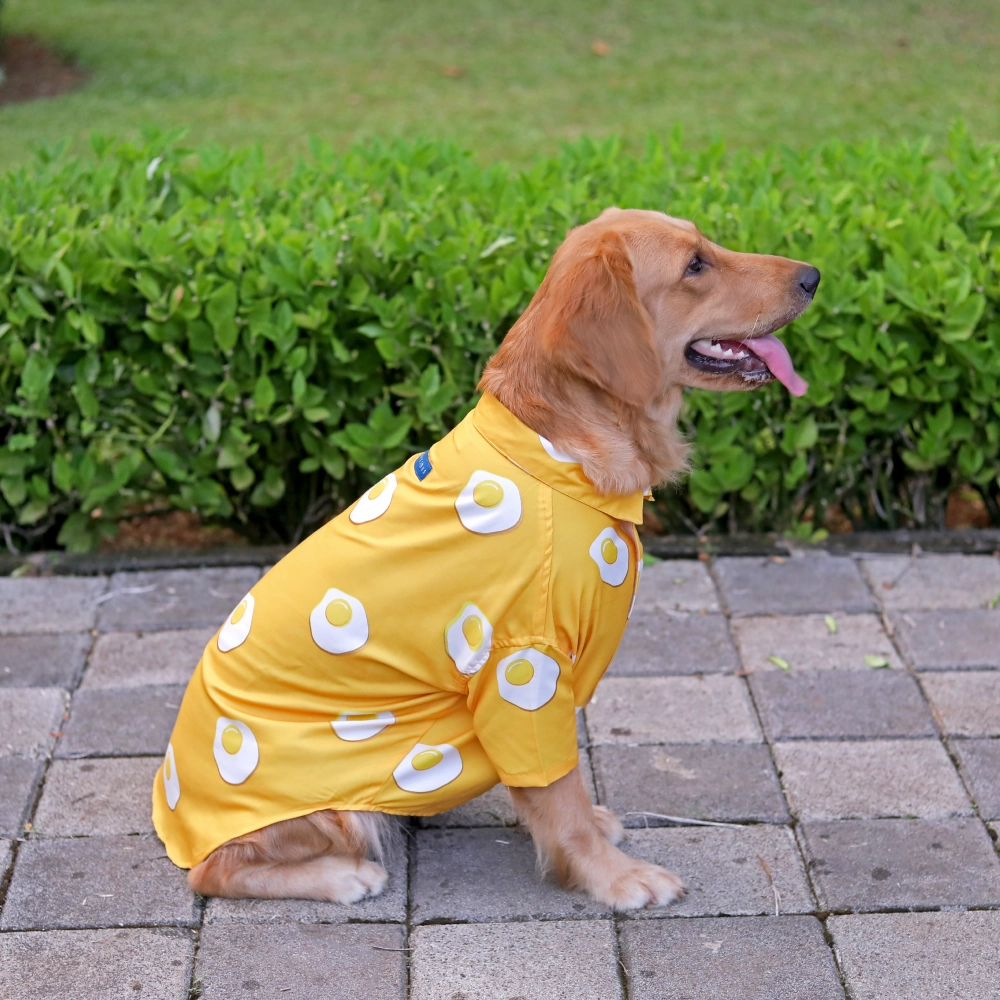 15buttons Sunny Side Up Shirt for Dogs