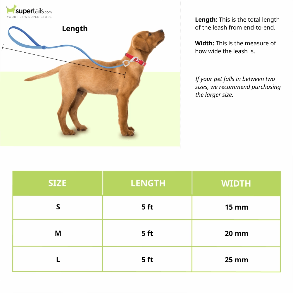 A Plus A Pets Skin Friendly Gradient Design Leash for Dogs (5ft, Green)