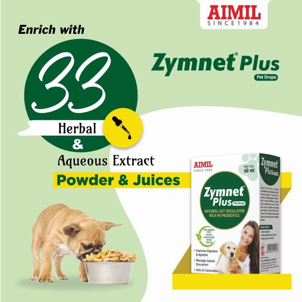 Aimil Zymnet Plus Drops for Dogs and Cats