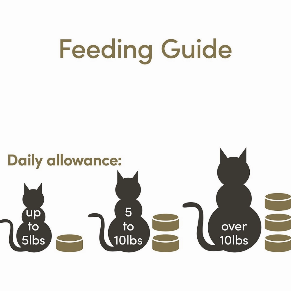 Applaws Tuna Fillet and Prawns Tinned Cat Wet Food (156g)