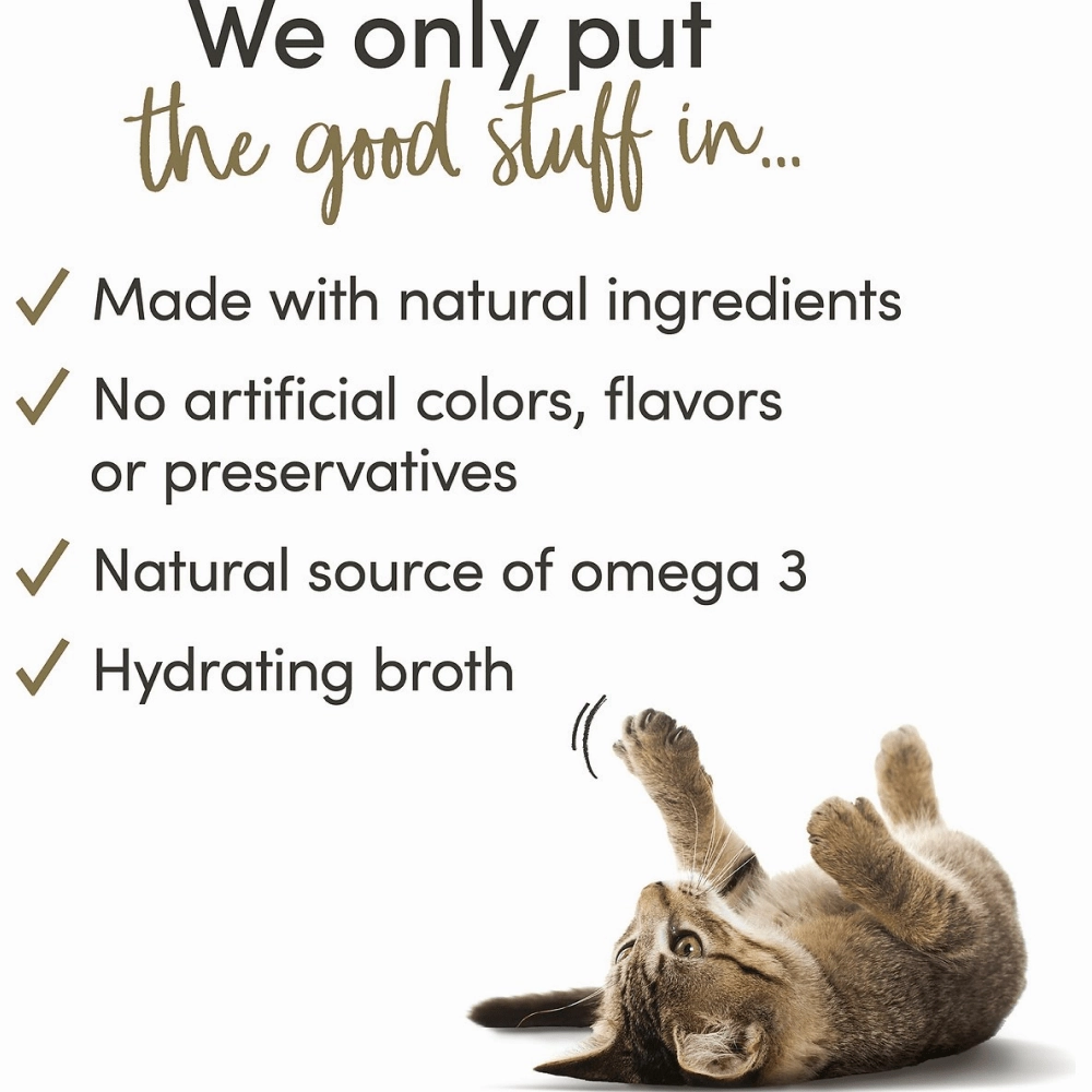 Applaws Tuna Fillet Tinned Cat Wet Food (70g)