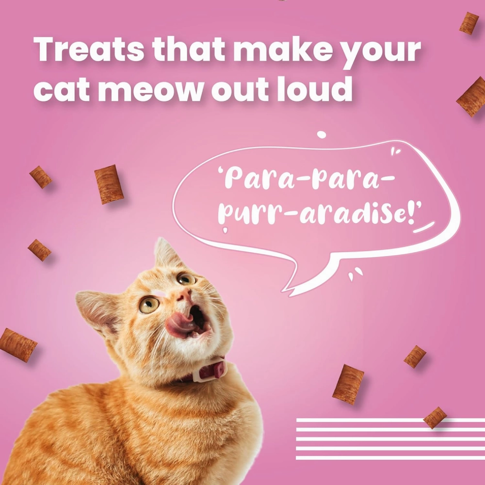 Bark Out Loud by Vivaldis Pillows for Sensitive Gut & Hairball Control Cat Treats Combo