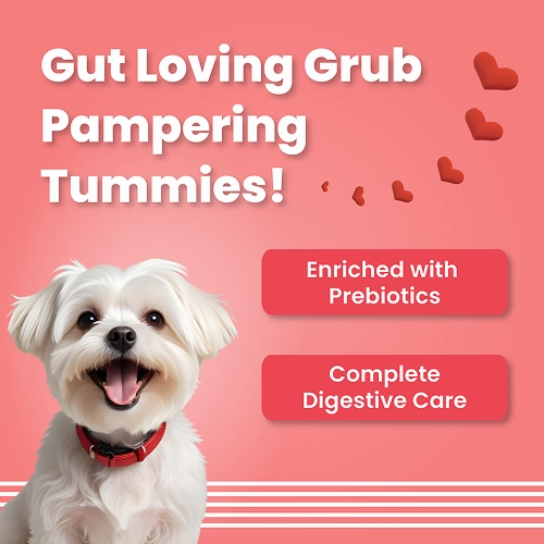 Bark Out Loud by Vivaldis Red Hearts Spanish Dog Treats