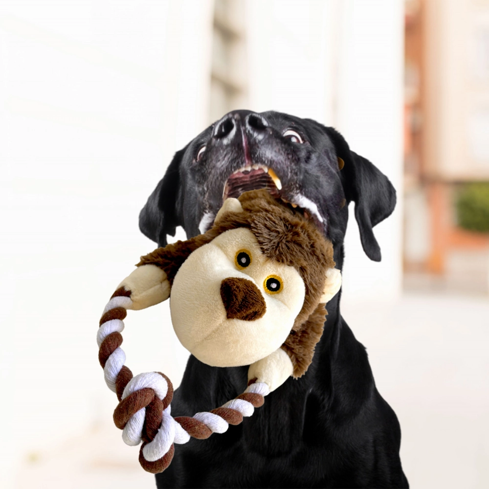 Barkbutler Knotty The Bear Plush Toy for Dogs
