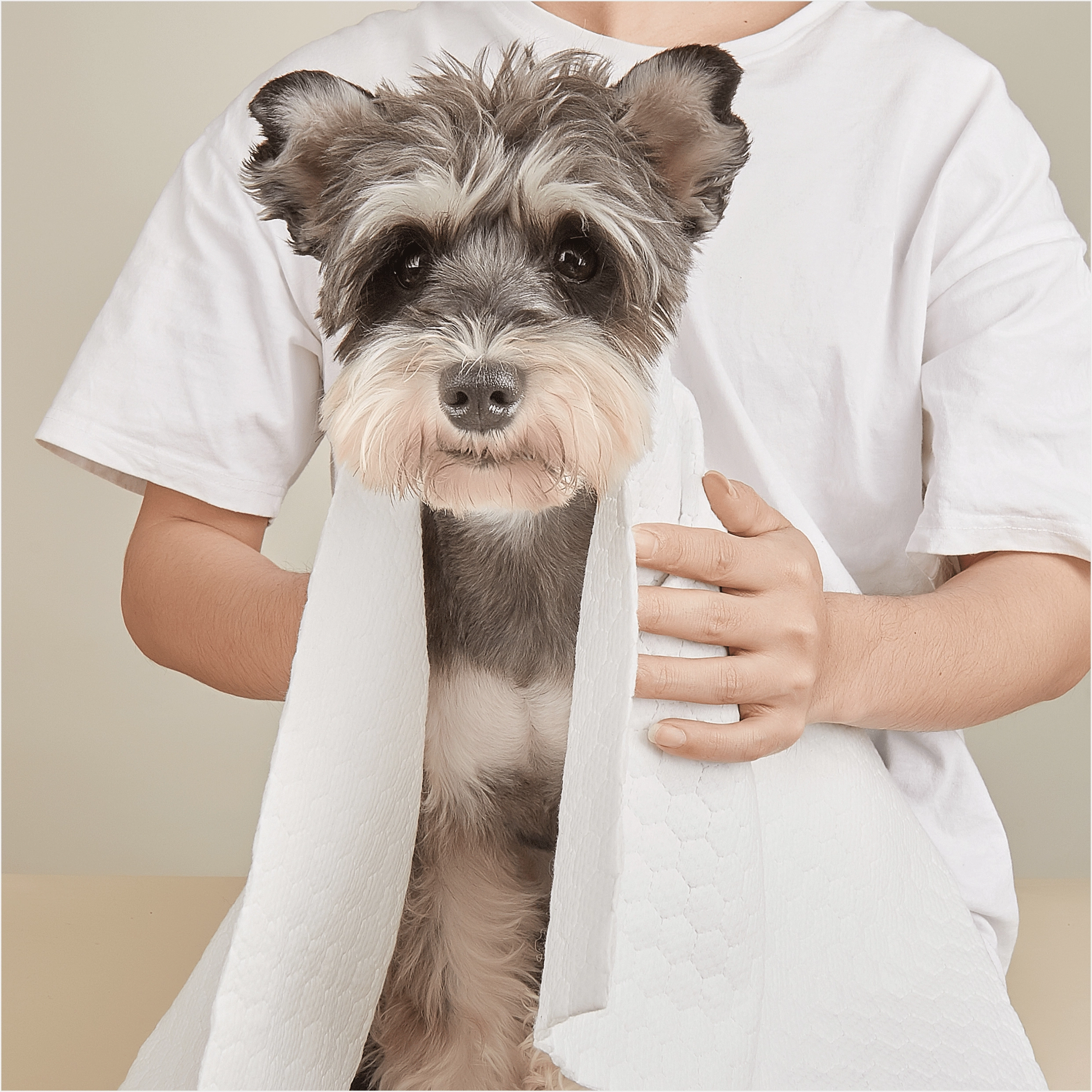 Barkbutler x Fofos Disposable Towels for Dogs
