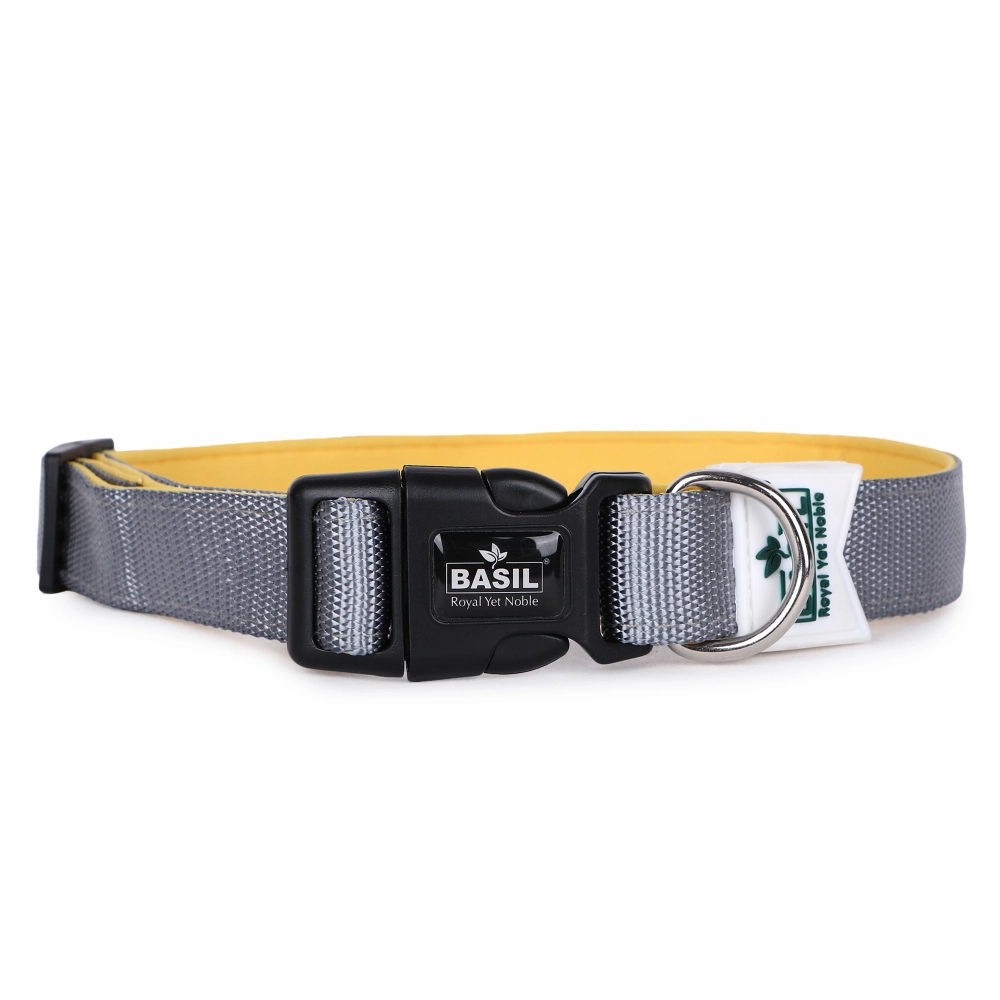 Basil Nylon Padded Collar for Dogs (Black)
