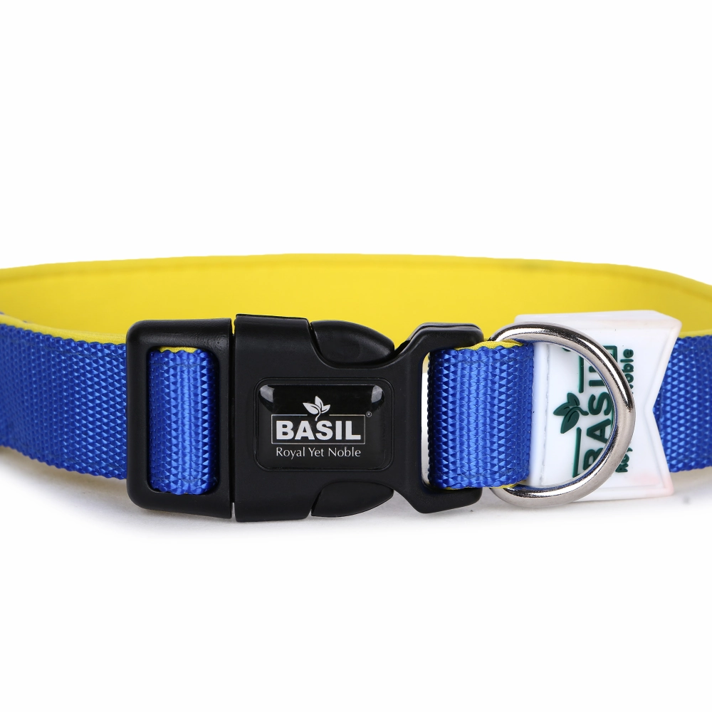 Basil Nylon Padded Collar for Dogs (Blue)