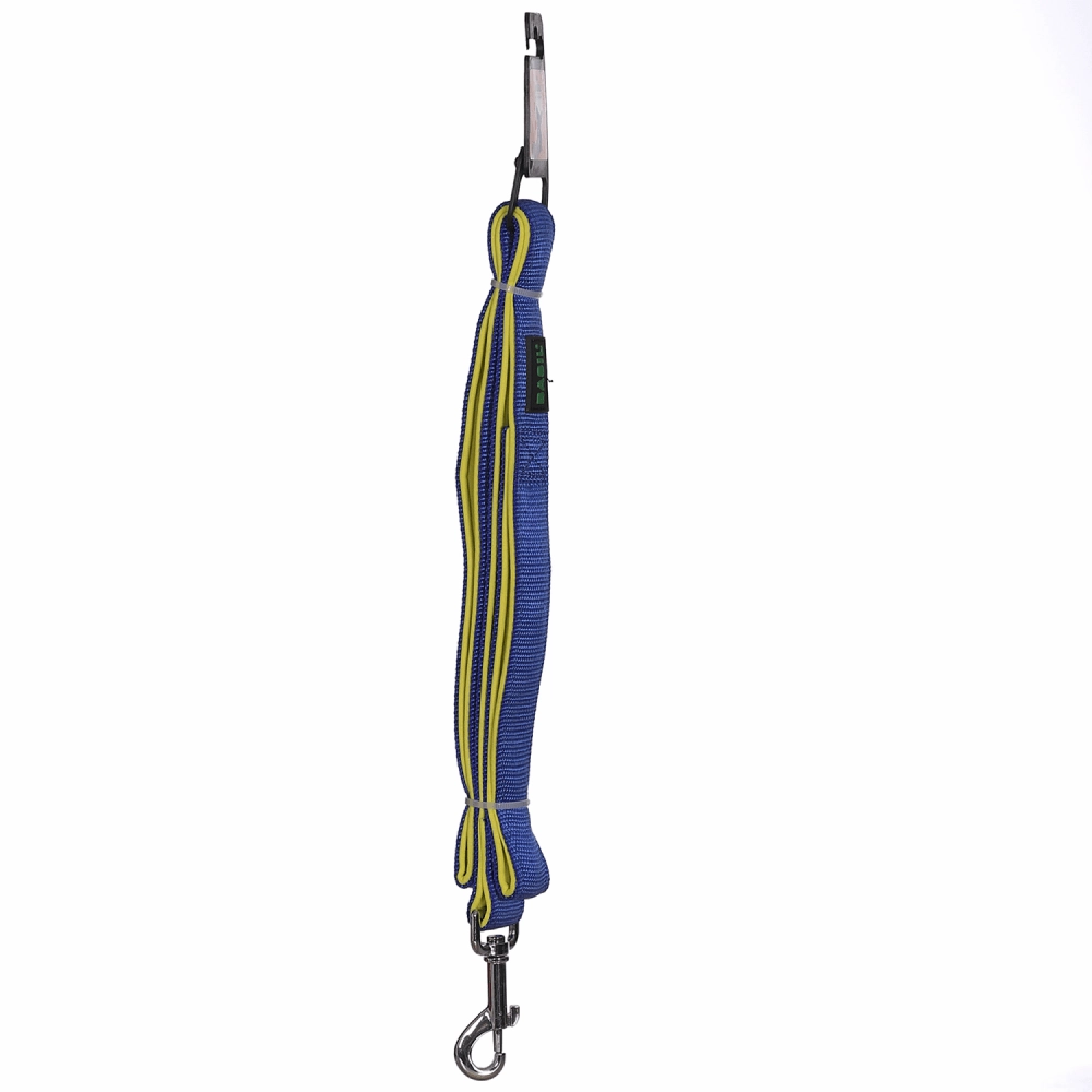 Basil Nylon Padded Leash for Dogs (Blue)