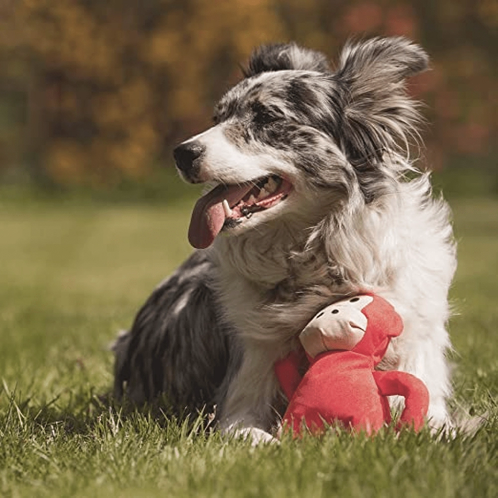 Beco Monkey Shaped Plush Toy for Dogs