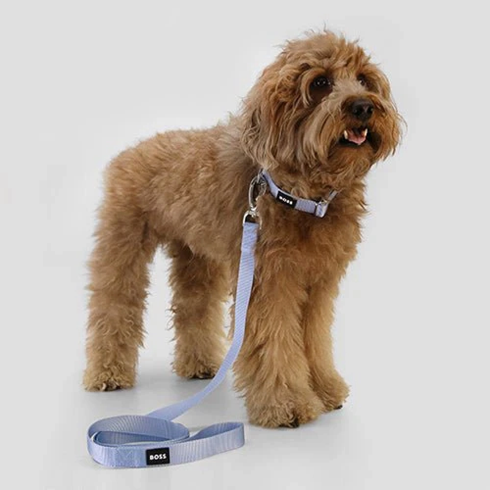 Boss Core Walk Leash for Dogs (Bel Air Blue)