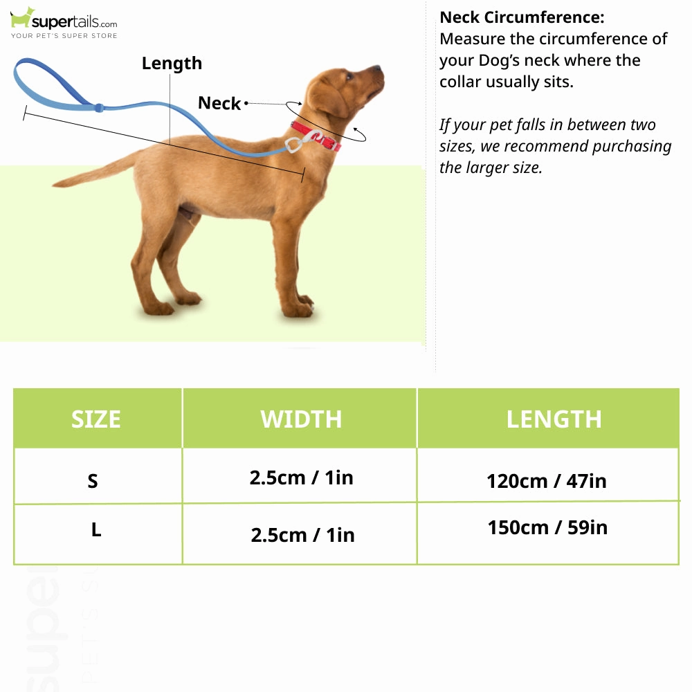Boss Core Walk Leash for Dogs (Bel Air Blue)