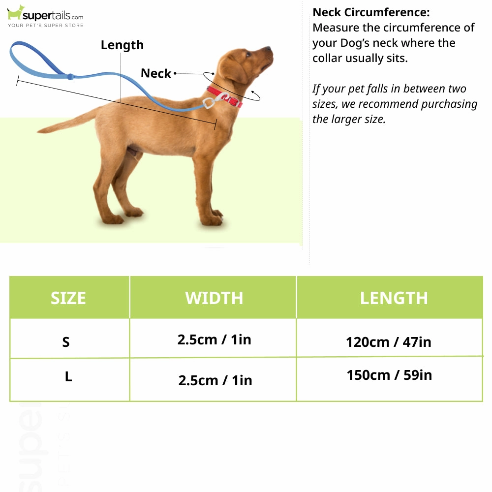 Boss Core Walk Leash for Dogs (Monogram)
