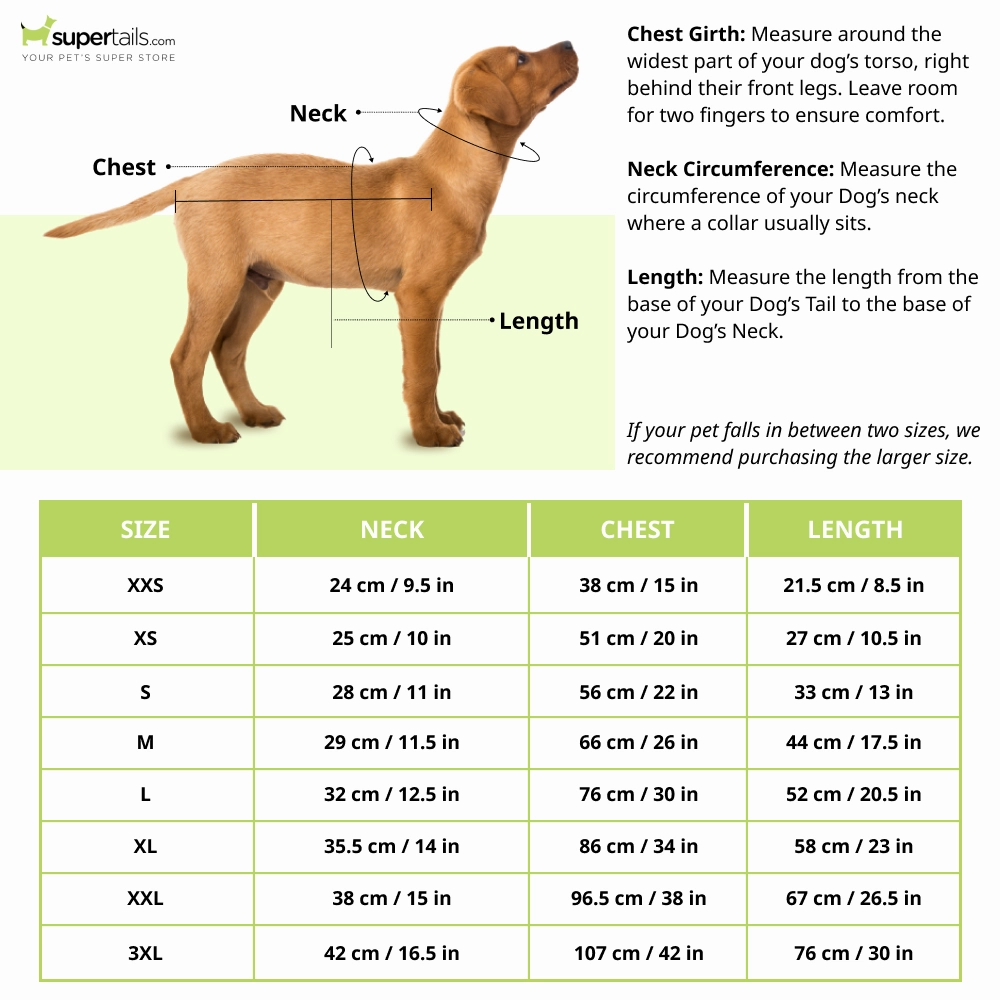 Cheeku I Smell Chimken Graphic Cotton T Shirt for Dogs and Cats (Primerose Yellow)