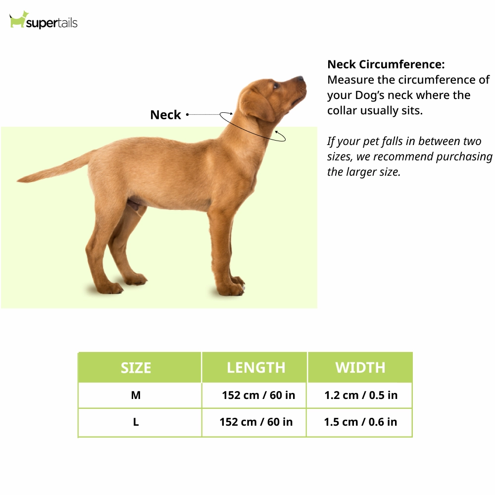 Chullbull Behavioral Training Choke Chain for Dogs (Silver)