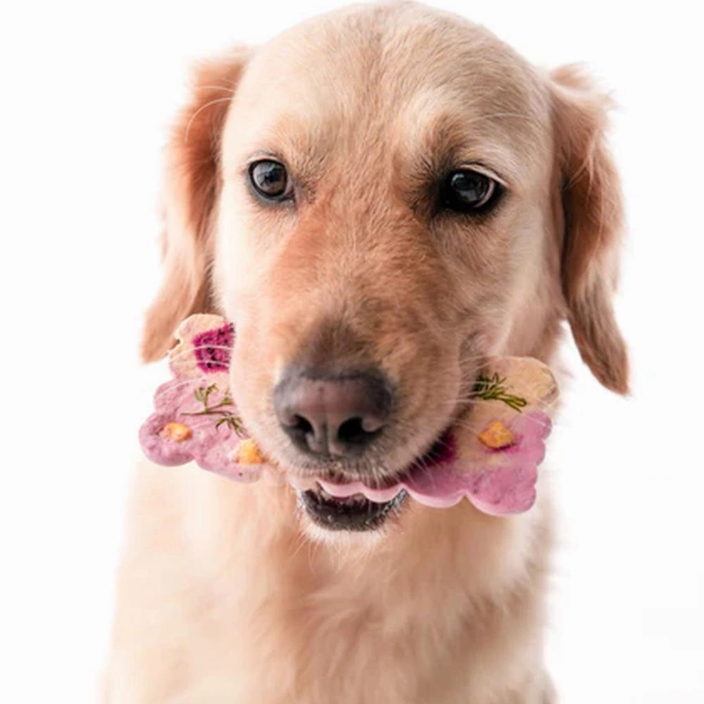 Cronch Bars Beef Knuckle Freeze Dried Treats for Dogs and Cats