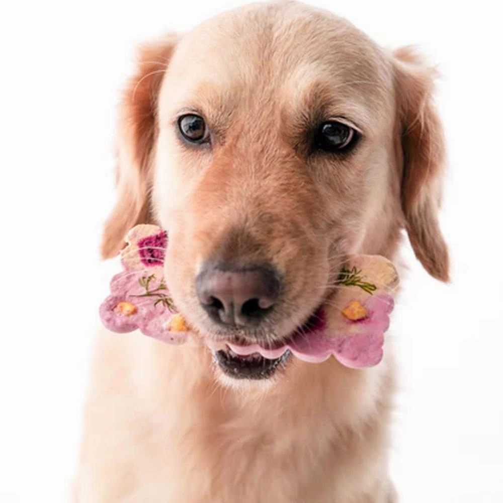 Cronch Bars Duck breast Freeze Dried Treats for Dogs and Cats
