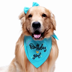 Dogobow Birthday Girl Scarf for Dogs (Teal blue) (Get a Bow Free)