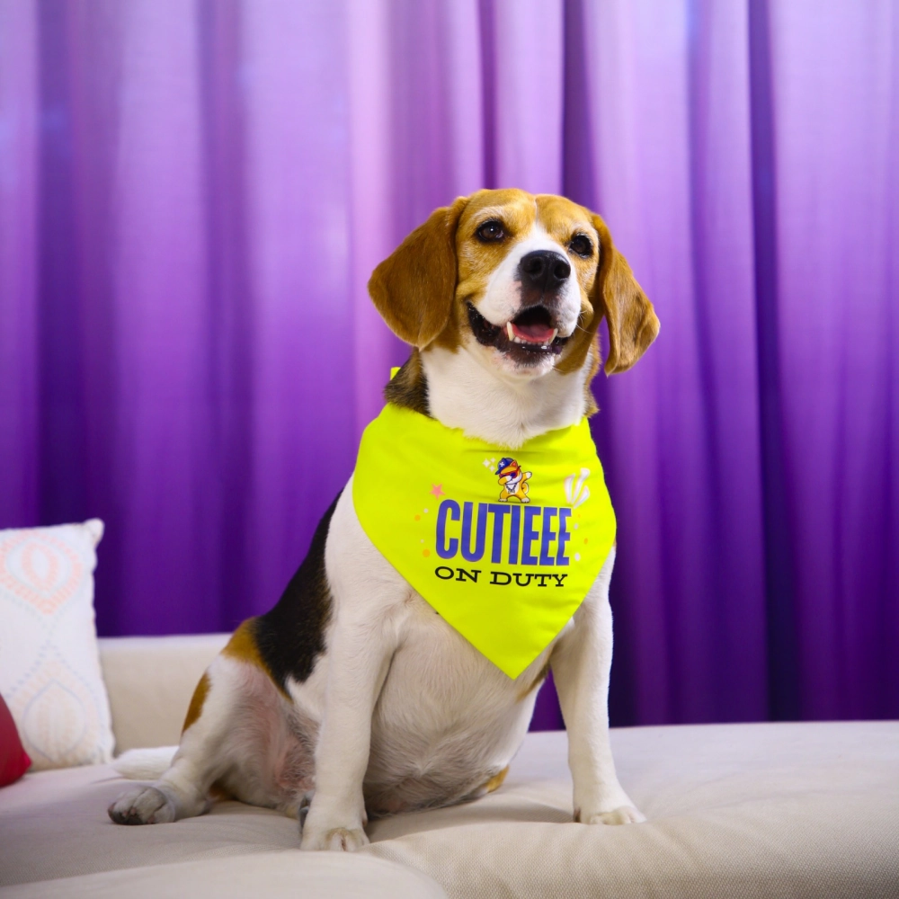 Dogobow Cutie on Duty Bandana for Dogs (Yellow)