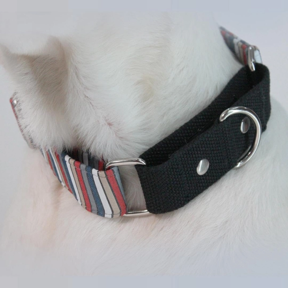 Dogobow Multi Stripe Martingale Collar for Dogs (Black) (Get a Bow Free)