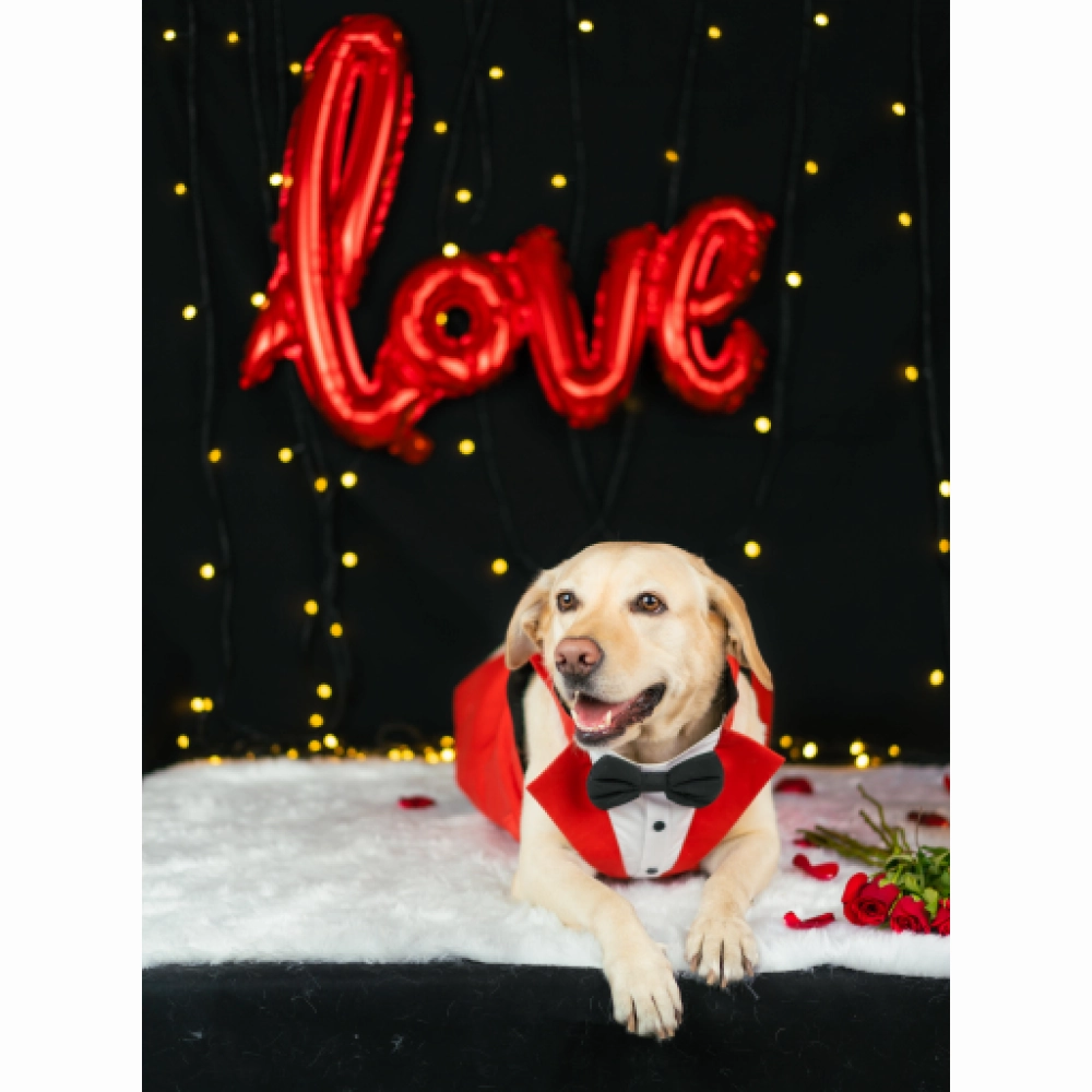 Dogobow Tuxedo for Dogs (Red) (Get a Bow Free)
