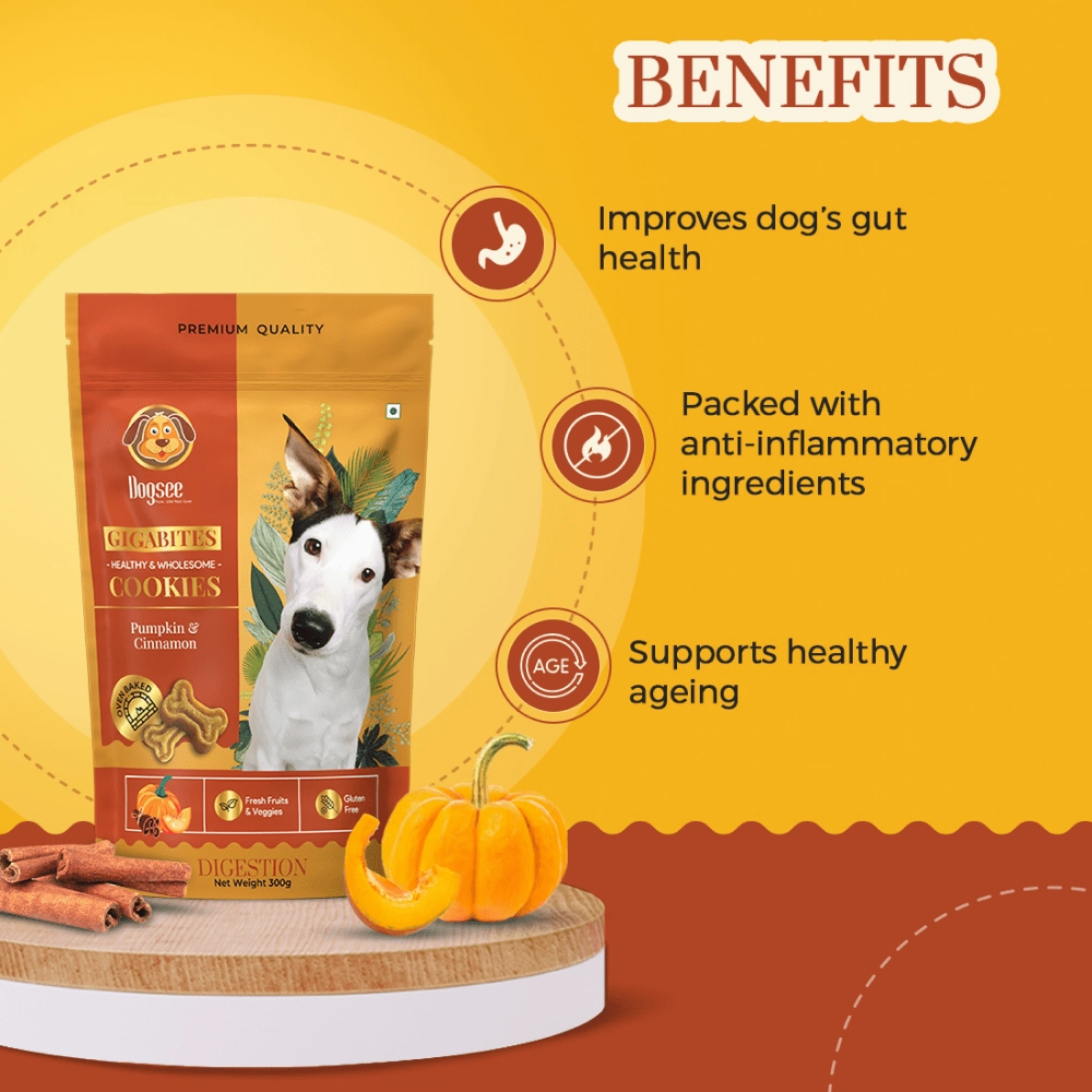 Dogsee Chew Gigabites Pumpkin and Cinnamon Dog Cookie Treats