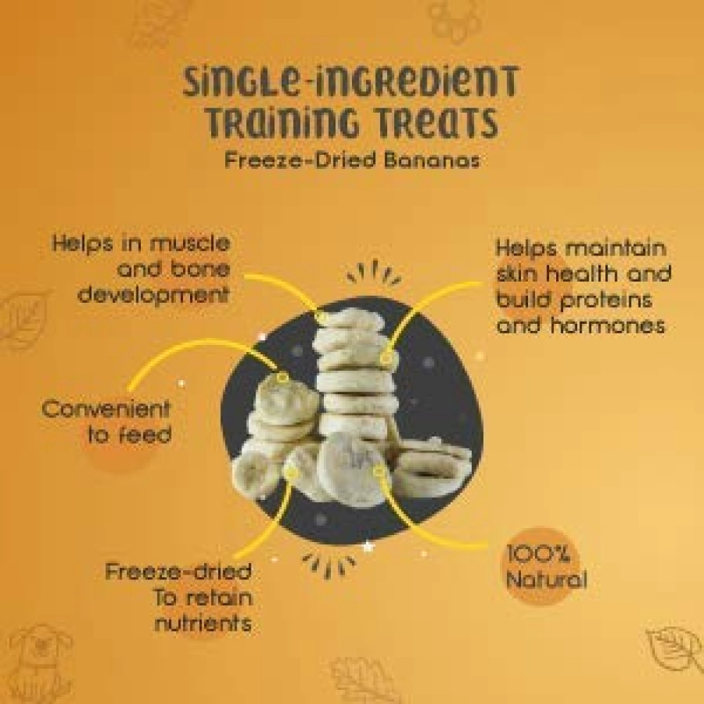 Dogsee Crunch Freeze Dried Banana Dog Treats