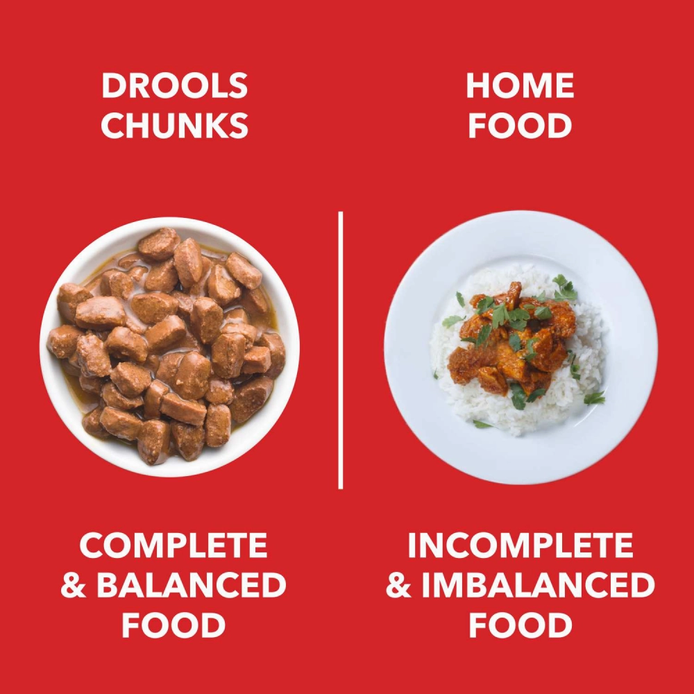 Drools Focus Super Premium Dry Food and Chicken & Chicken Liver Chunks in Gravy Puppy Dog Wet Food Combo