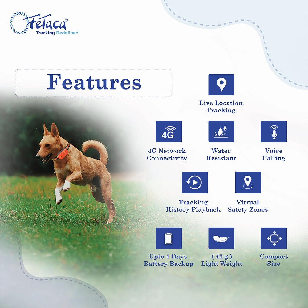 FeTaca Smart 4G GPS Tracker with Lifetime Free Tracking & 1 Year Data SIM Subscription for Dogs and Cats (Orange)