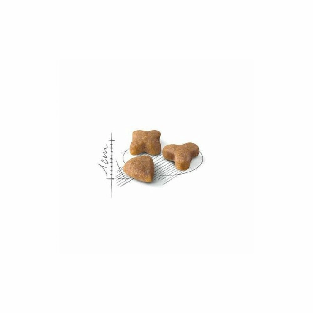 FHN Regular Sensible for Adult Cat Dry Food