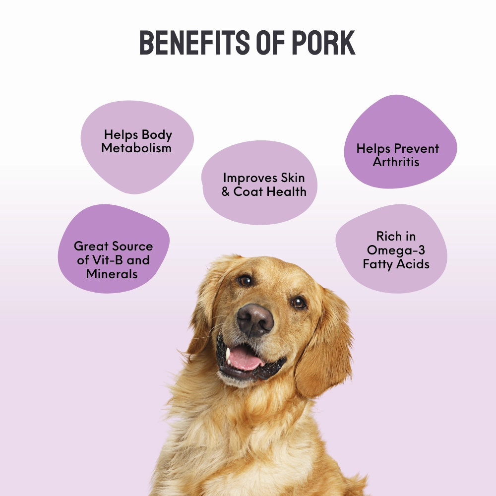 Floof & Co Pork Chew, Bacon Cheese, Chicken Cheese, Roasted Lamb and Smoked Lamb Dog Treats Combo