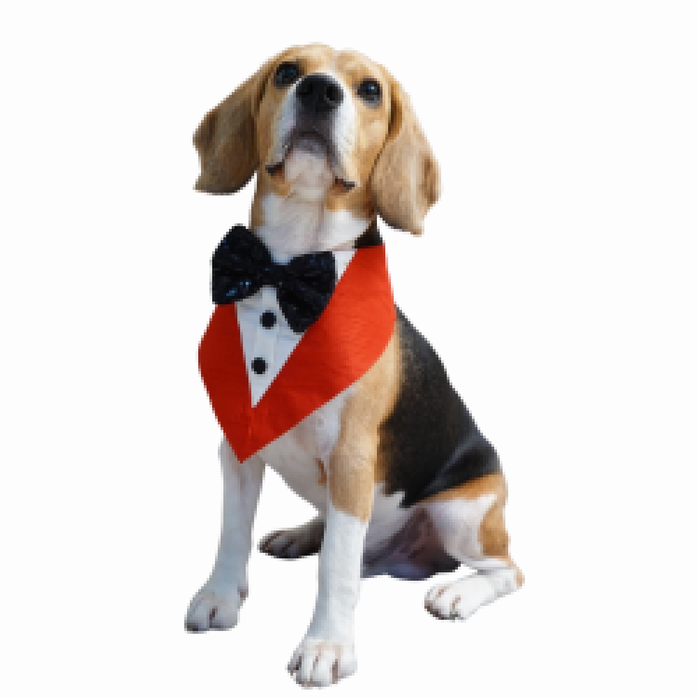 Floof & Co Tux Bandana Triangle for Dogs (Red)