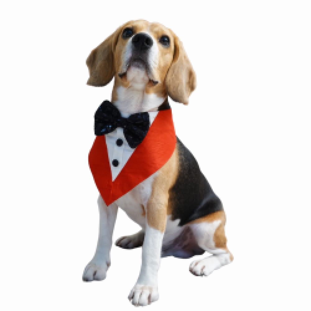 Floof & Co Tux Bandana Triangle for Dogs (Red)