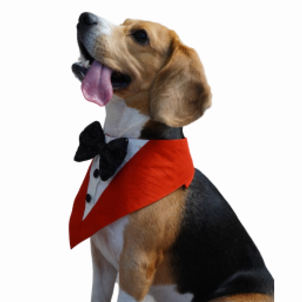 Floof & Co Tux Bandana Triangle for Dogs (Red)