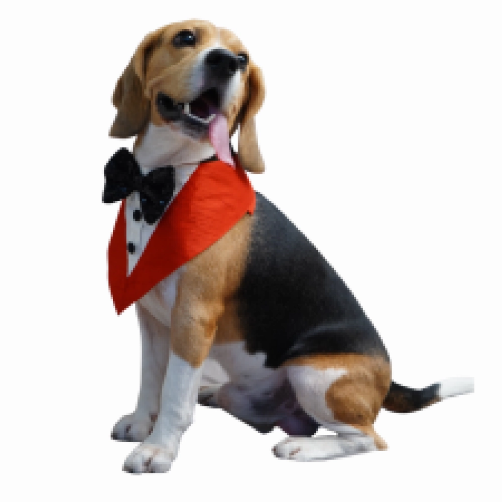 Floof & Co Tux Bandana Triangle for Dogs (Red)