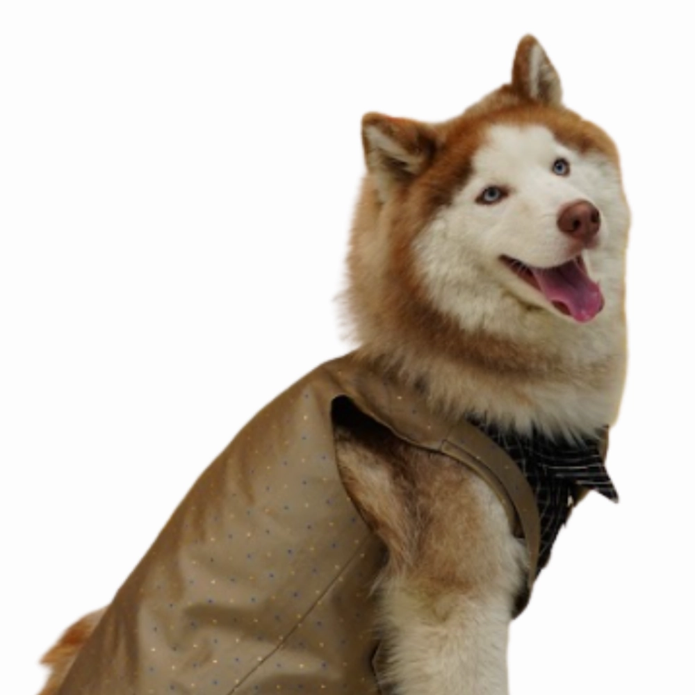 Floof & Co Tuxedo for Dogs (Khaki)