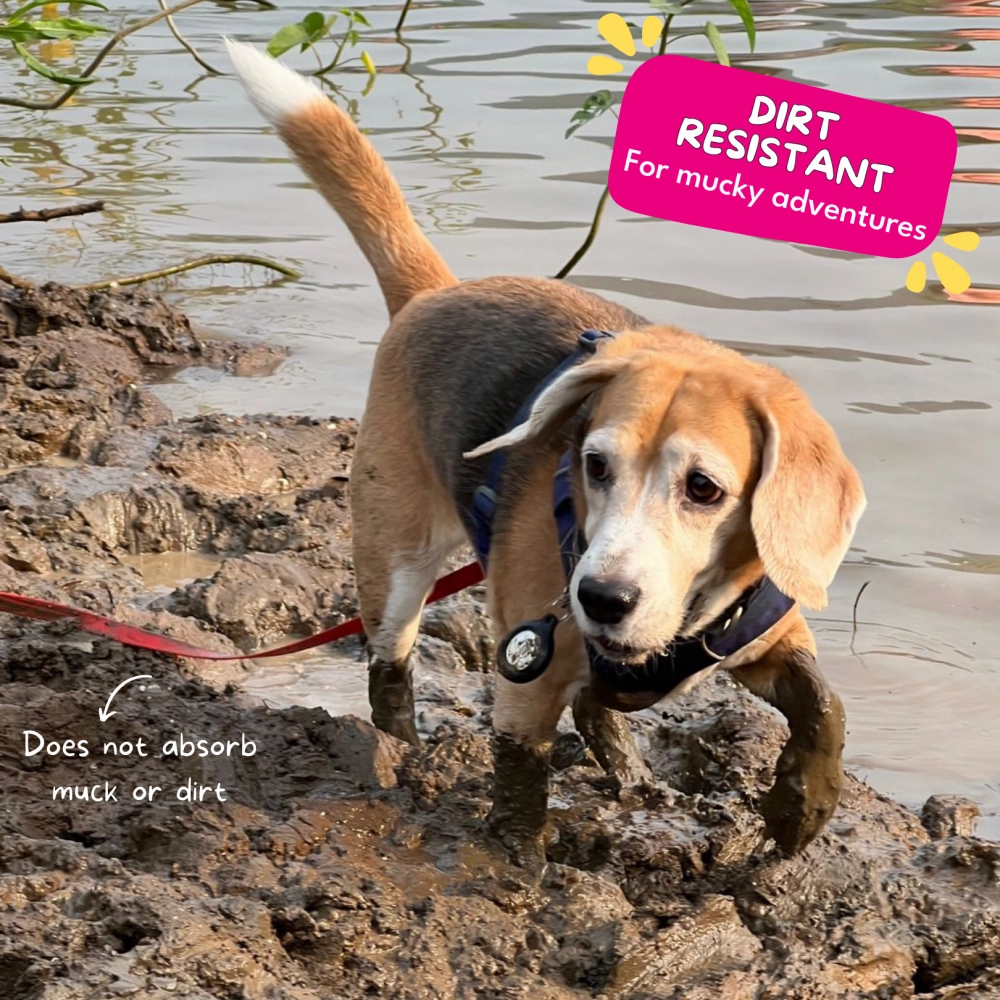 For The Love Of Dogs Long Lines Leash for Dogs (Hot Pink)