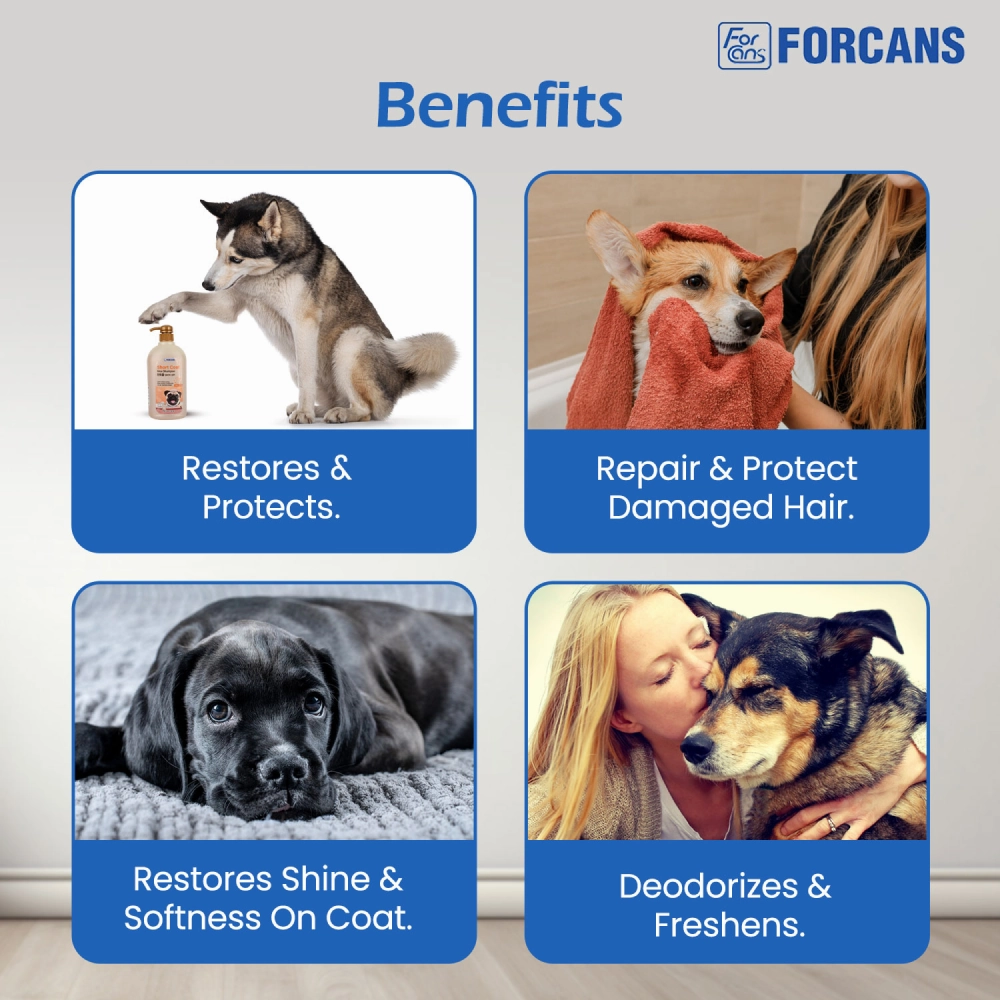 Forbis/Forcans Short Coat Aloe Shampoo for Dogs