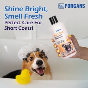 Forcans Aloe Short Coat Shampoo for Dogs