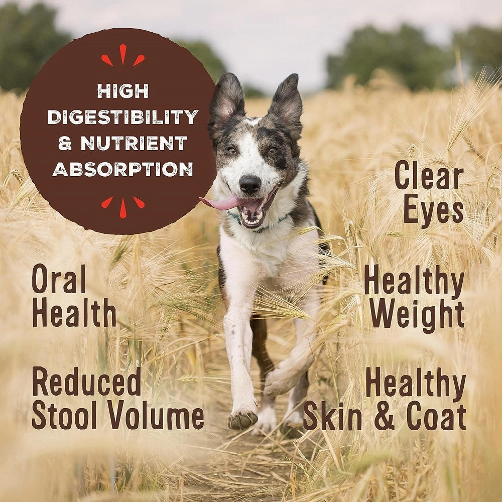 Freeze Dried Beef Nuggets Dog Food