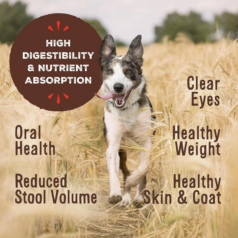 Freeze Dried Pork Nuggets Dog Food