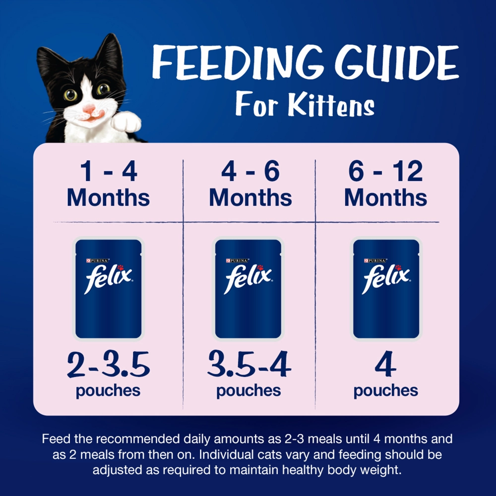 Friskies Kitten Cat Dry Food and Purina Felix Chicken with Jelly Kitten Cat Wet Food Combo