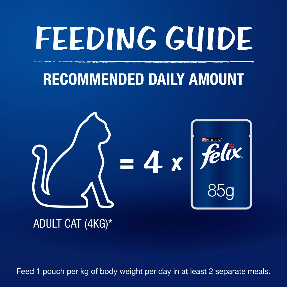 Friskies Seafood Cat Dry Food and Purina Felix Sardine with Jelly Adult Cat Wet Food Combo