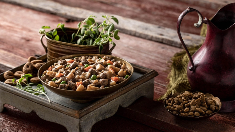 Fromm Frommbalaya Beef, Vegetable, & Rice Stew Canned Dog Food