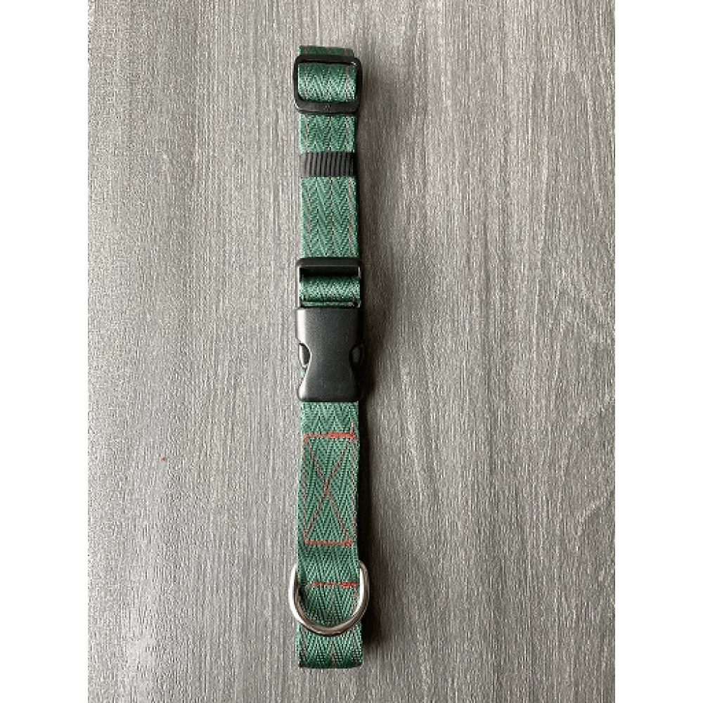 FurBuddies Myrtle Nylon Collar for Dogs (Green)