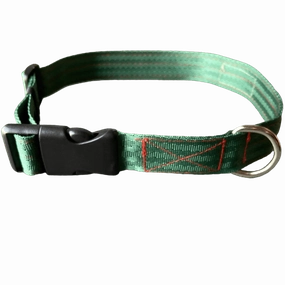 FurBuddies Myrtle Nylon Collar for Dogs (Green)