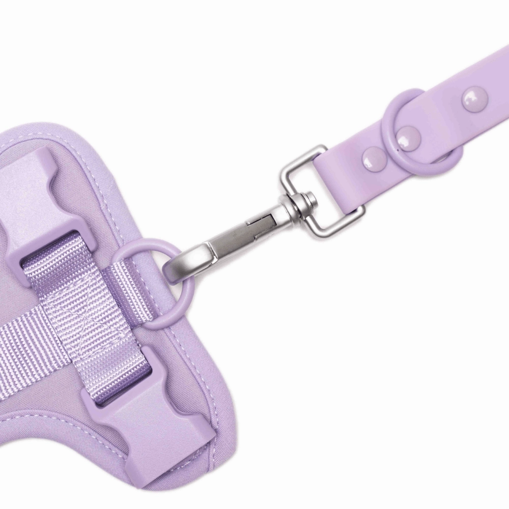 Furry & Co Bold Harness, Collar and Leash for Dogs Combo (Lilac)