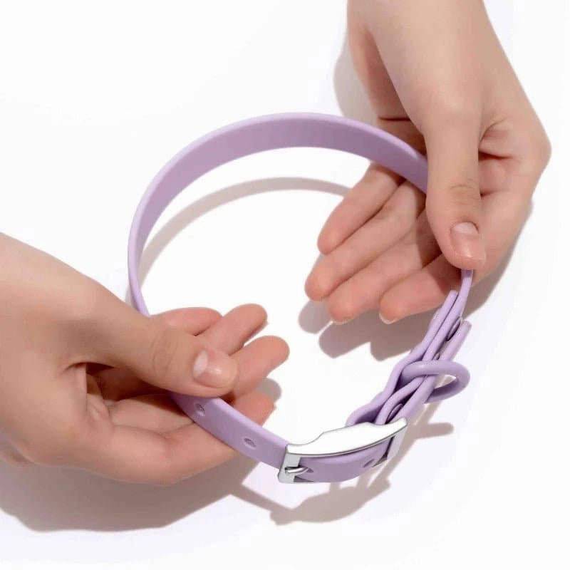 Furry & Co Bold Harness, Collar and Leash for Dogs Combo (Lilac)
