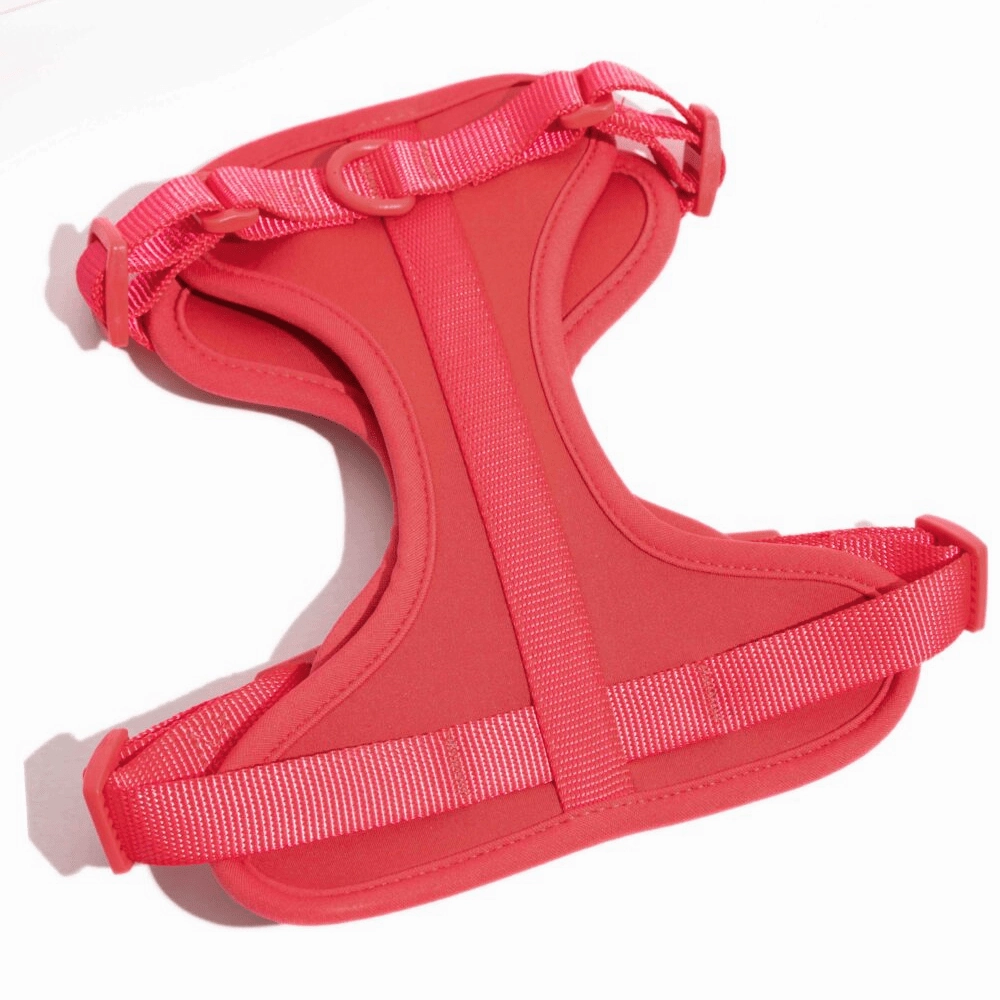 Furry & Co Bold Harness for Dogs (Coral Red)