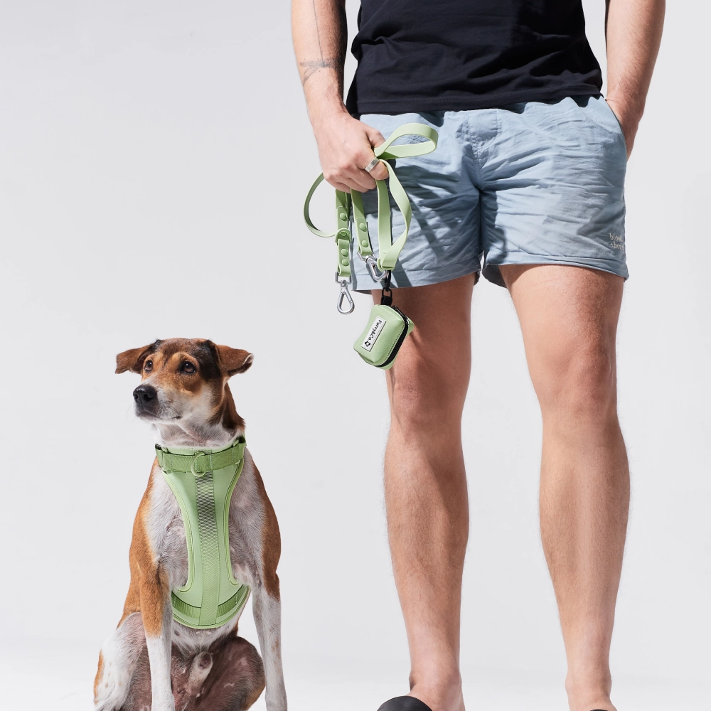 Furry & Co Poop Bag Holder for Dogs (Matcha Latte)