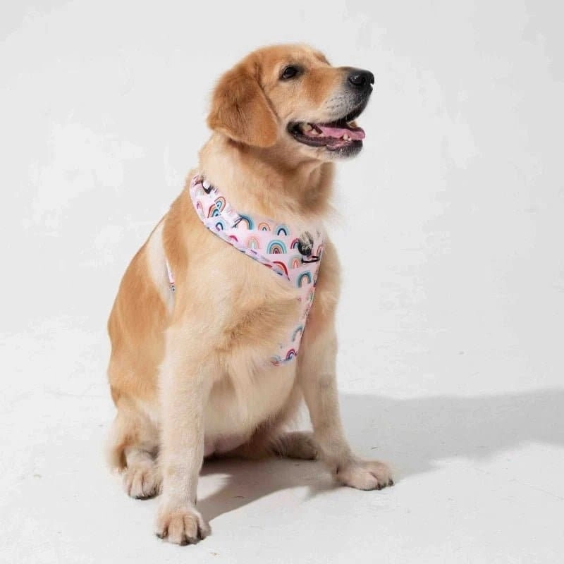 Furry & Co Raining Rainbow No Pull Harness for Dogs